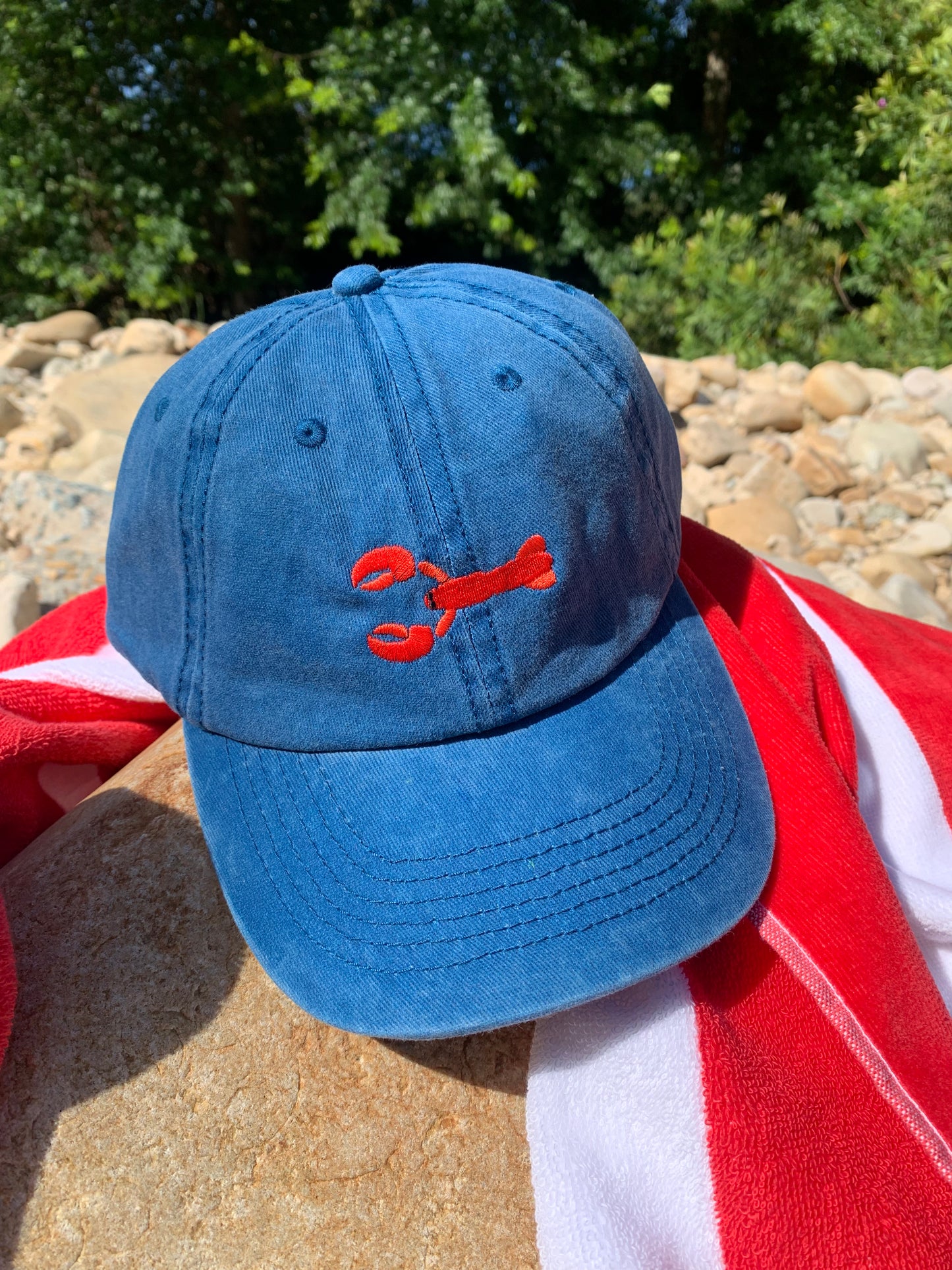 NEW Seawashed Caps - ‘Sea Life’